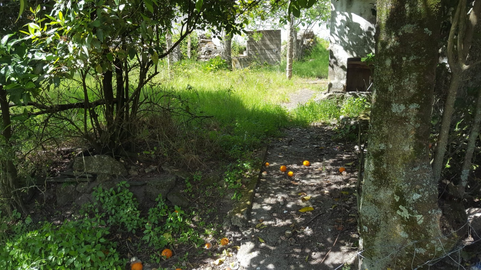 whatsapp-image-2022-04-22-at-114436-1jpeg