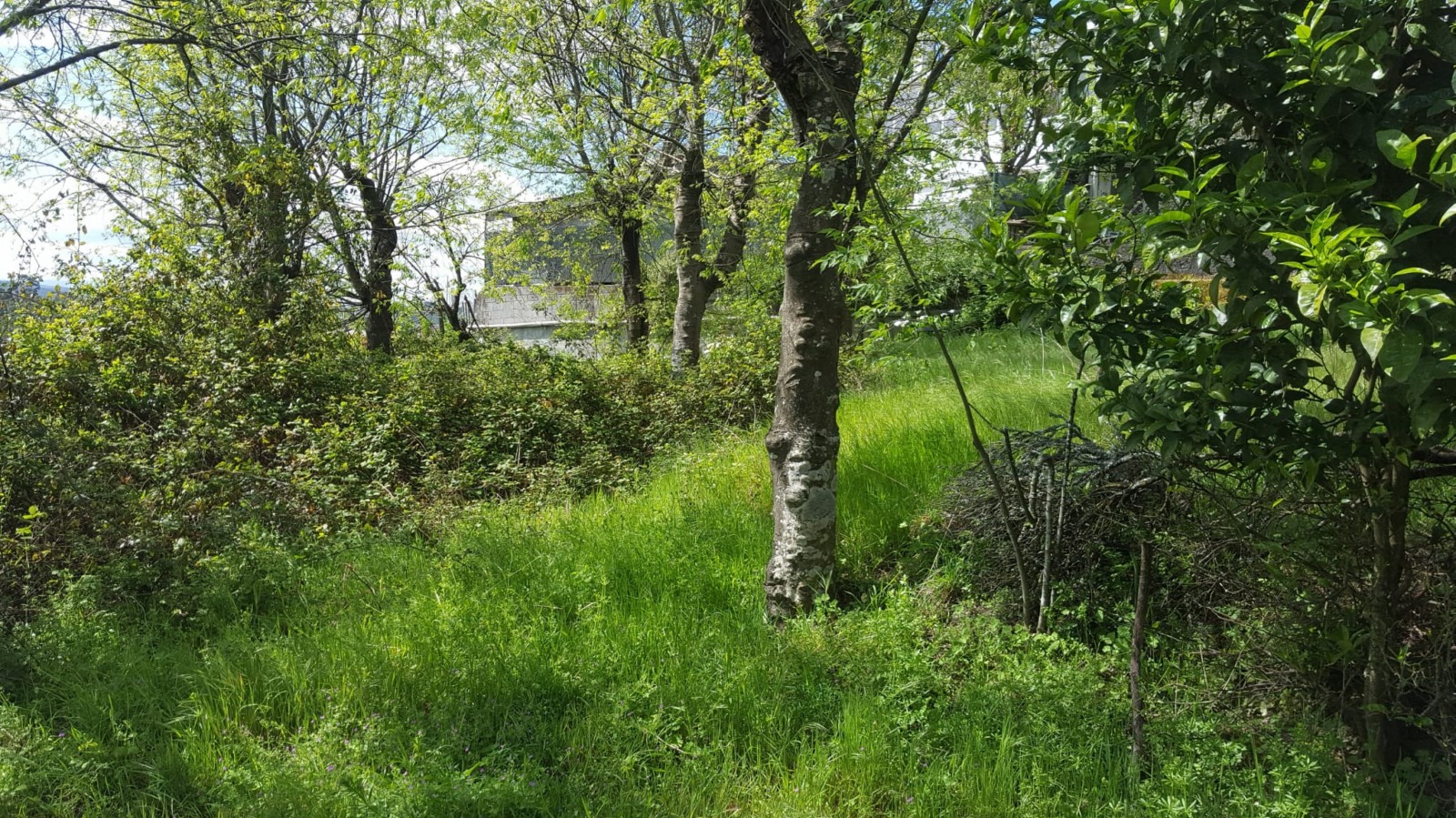 whatsapp-image-2022-04-22-at-114436jpeg