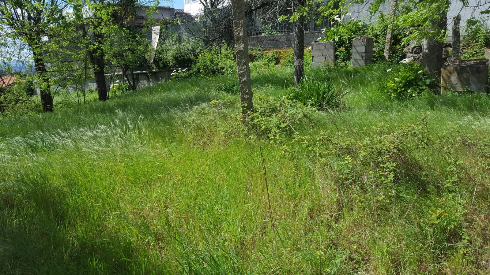 whatsapp-image-2022-04-22-at-114437jpeg