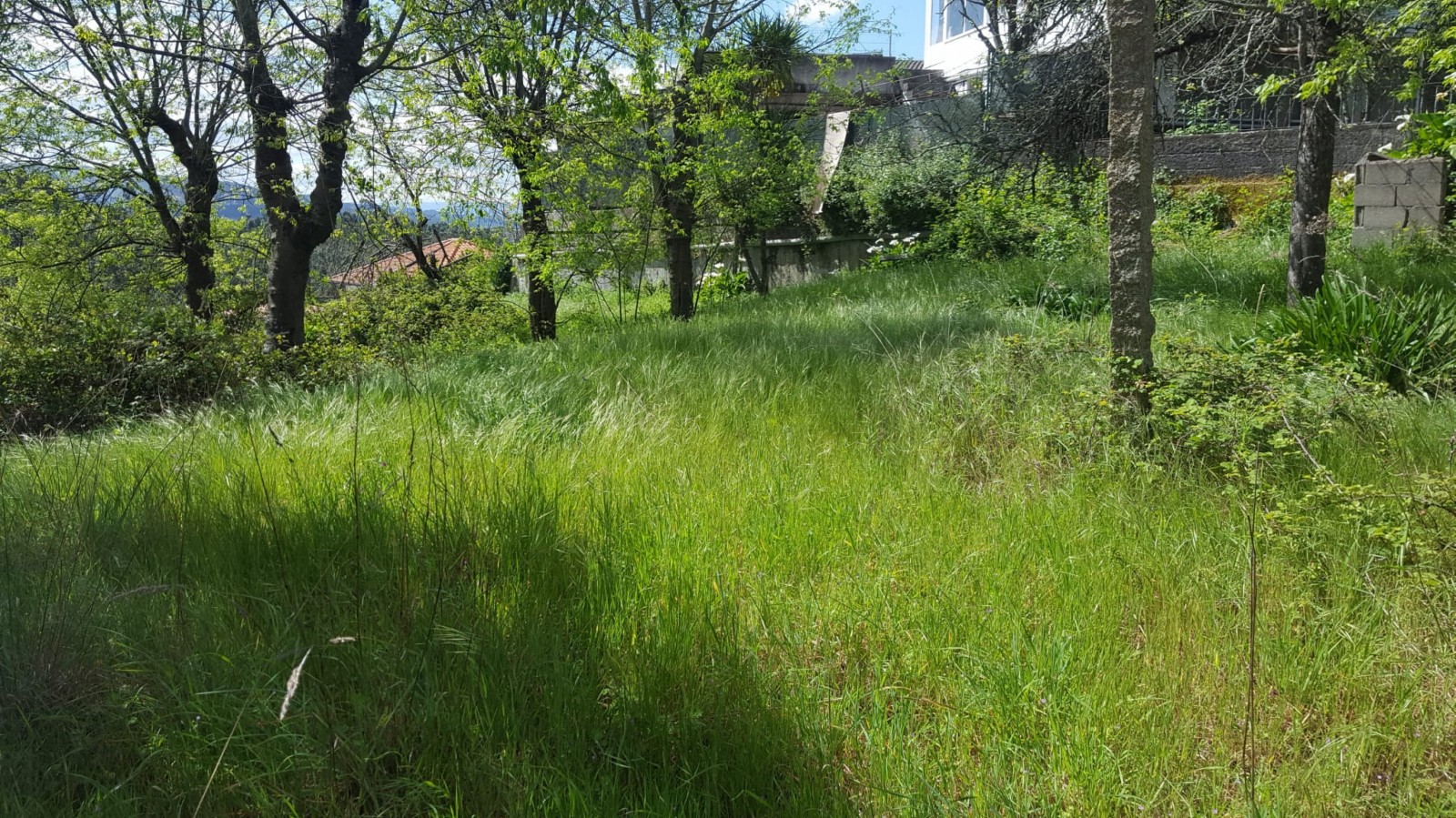 whatsapp-image-2022-04-22-at-114438jpeg