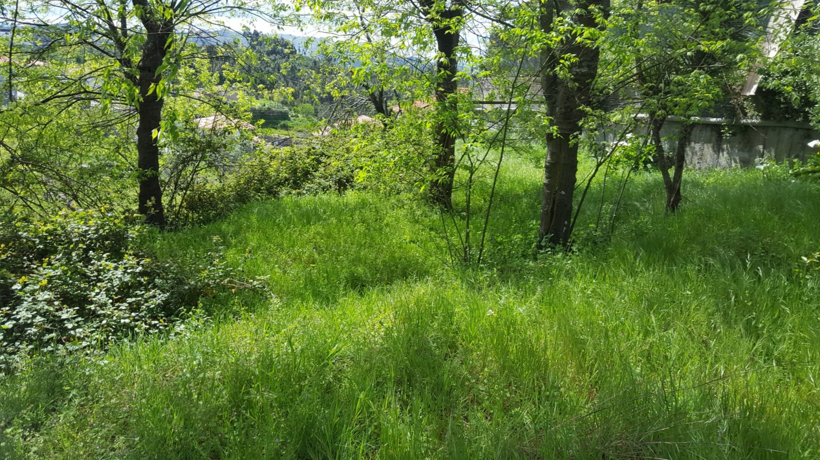 whatsapp-image-2022-04-22-at-114439-1jpeg