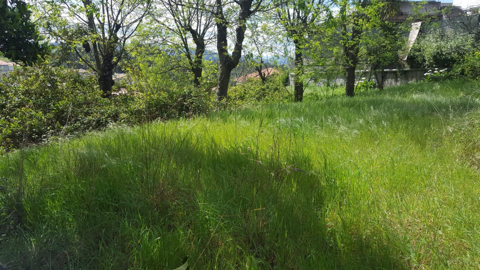 whatsapp-image-2022-04-22-at-114438-1jpeg