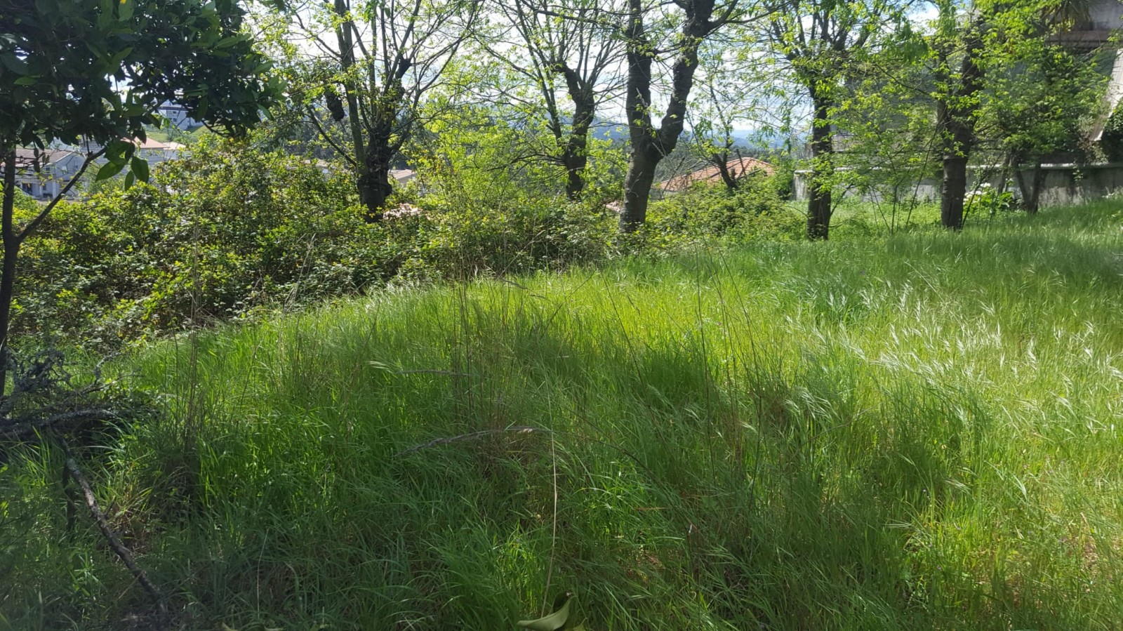 whatsapp-image-2022-04-22-at-114439jpeg