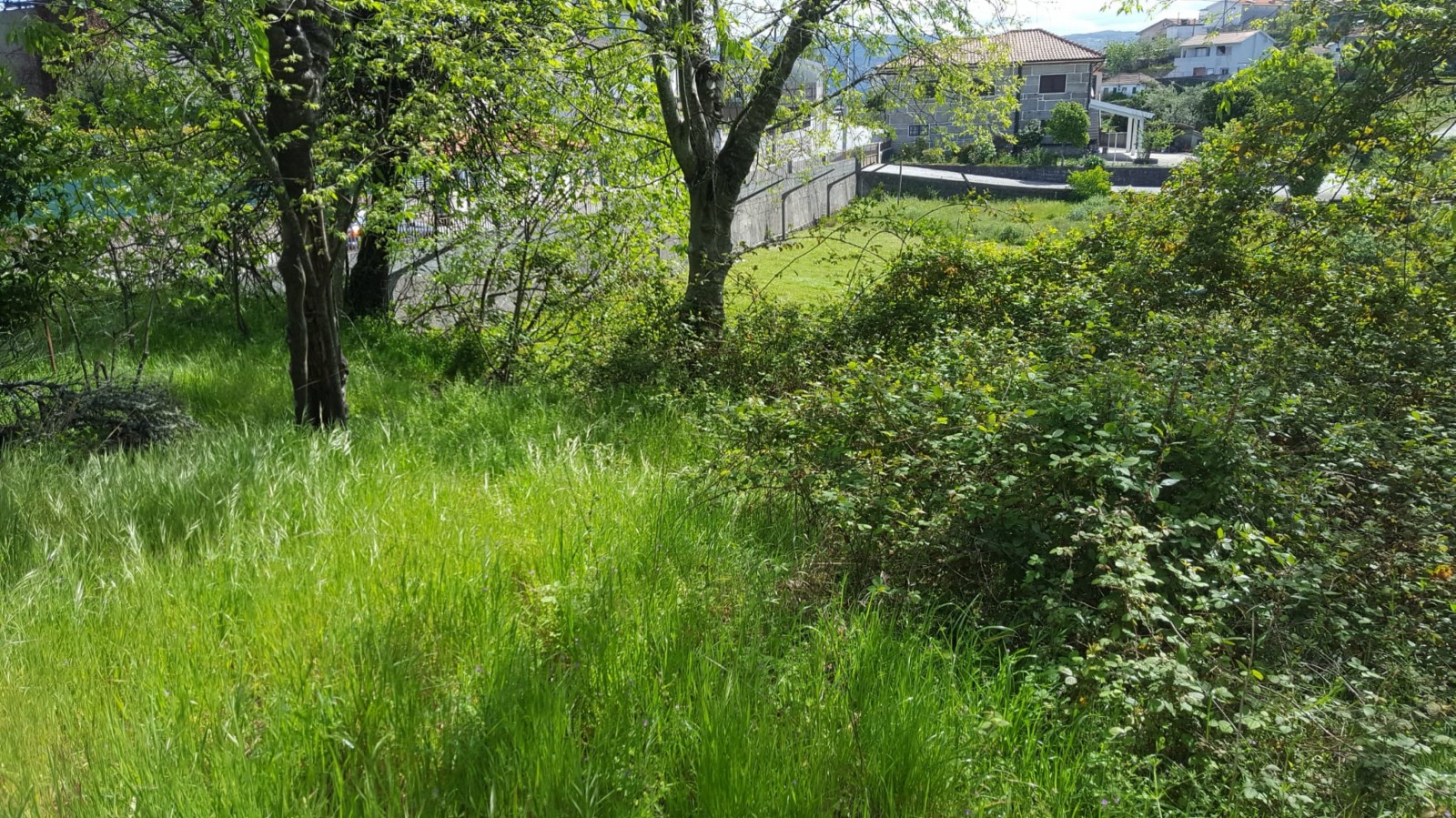 whatsapp-image-2022-04-22-at-114440-1jpeg