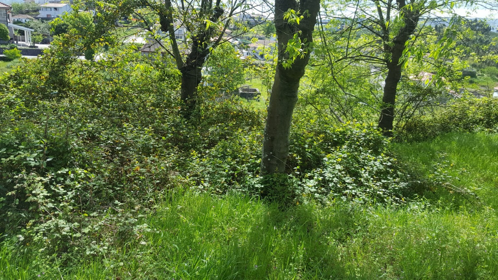 whatsapp-image-2022-04-22-at-114440jpeg