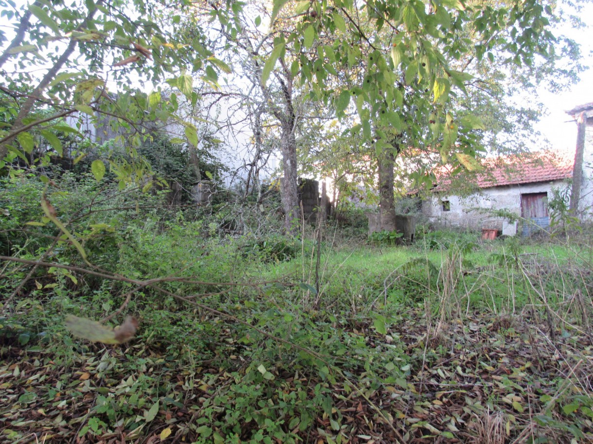 whatsapp-image-2025-11-27-at-161748jpeg