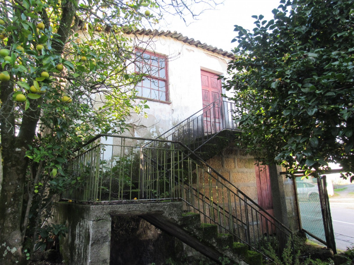 whatsapp-image-2025-11-27-at-161749jpeg