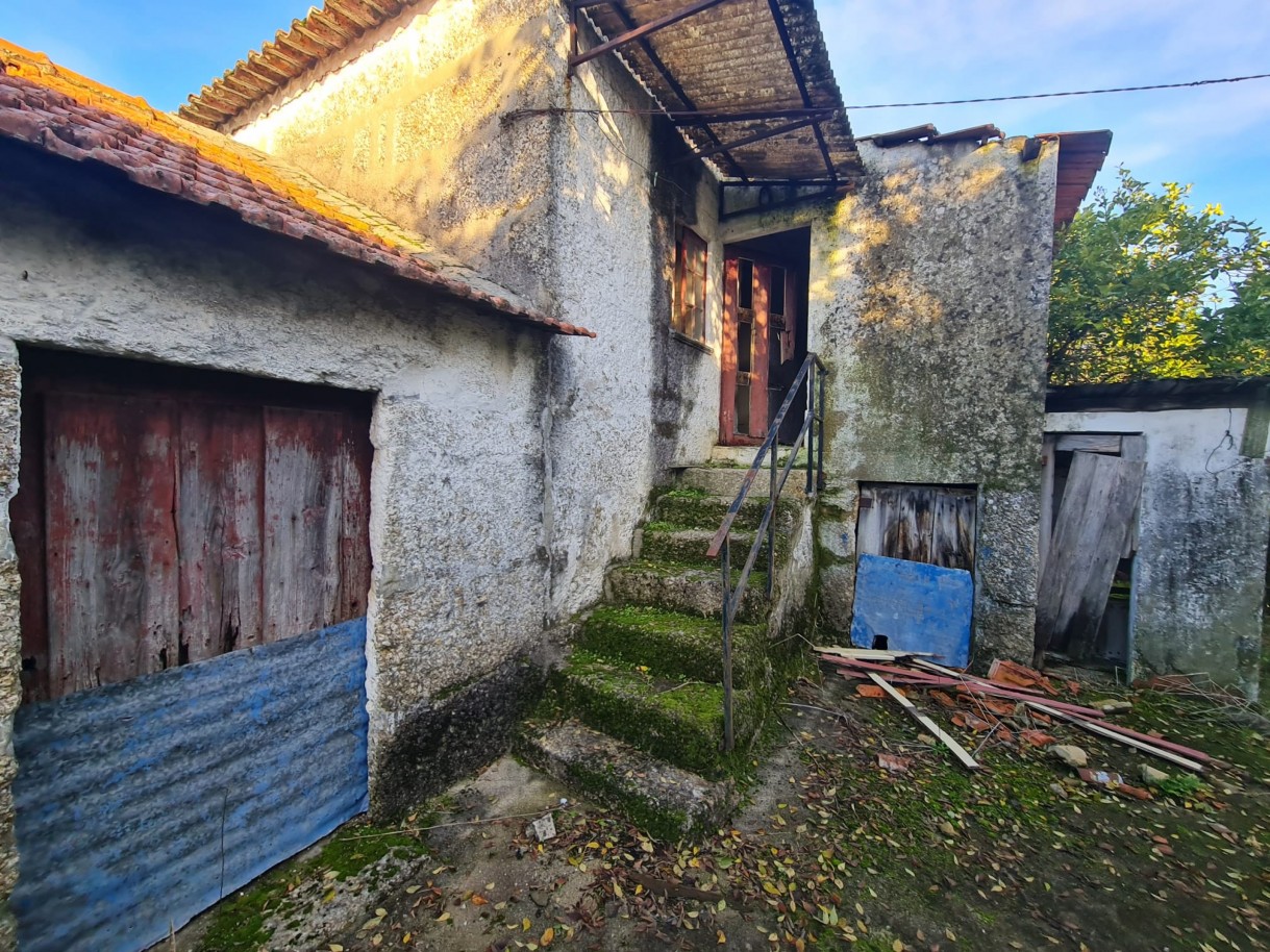 whatsapp-image-2025-11-27-at-161957-1jpeg