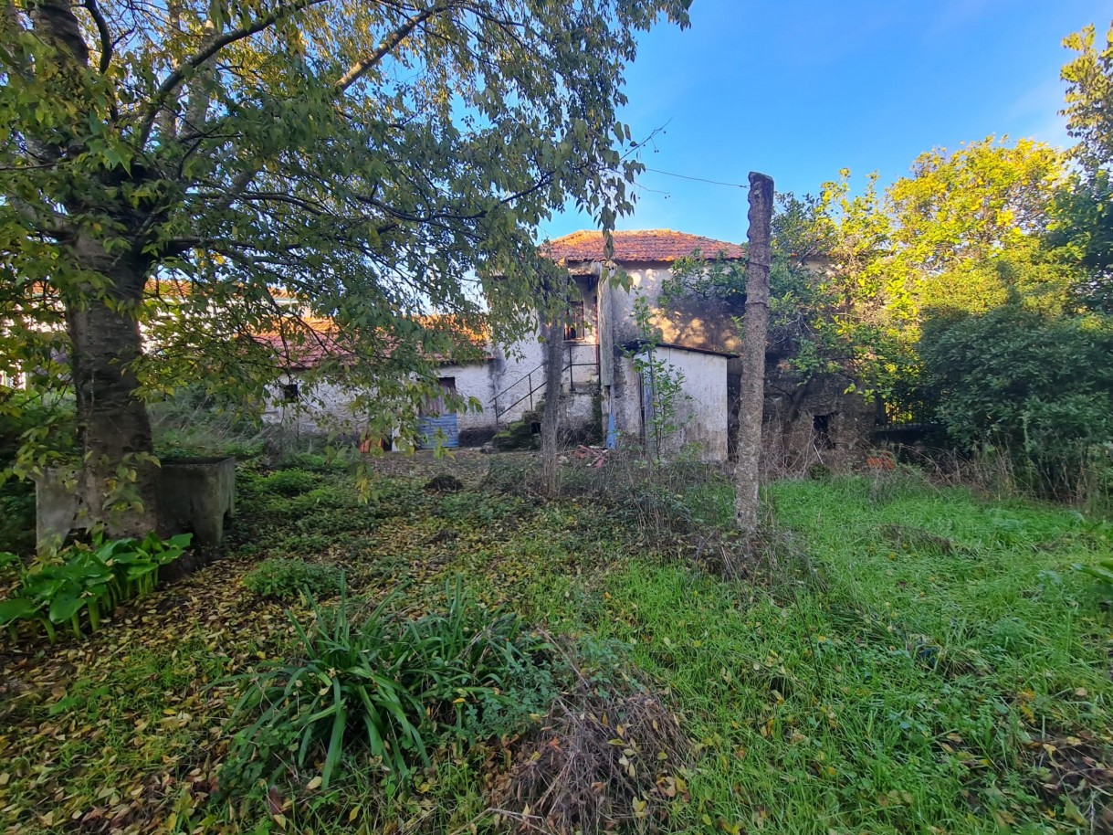 whatsapp-image-2025-11-27-at-161957-2jpeg