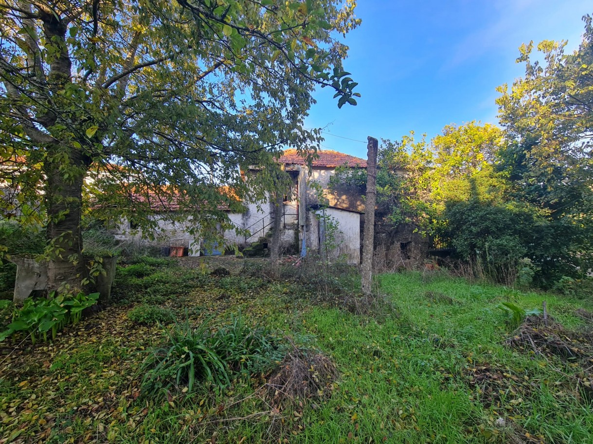 whatsapp-image-2025-11-27-at-161957-3jpeg