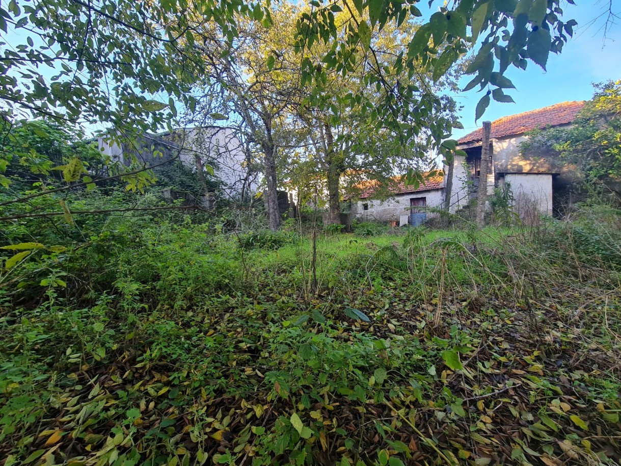 whatsapp-image-2025-11-27-at-161957-5jpeg