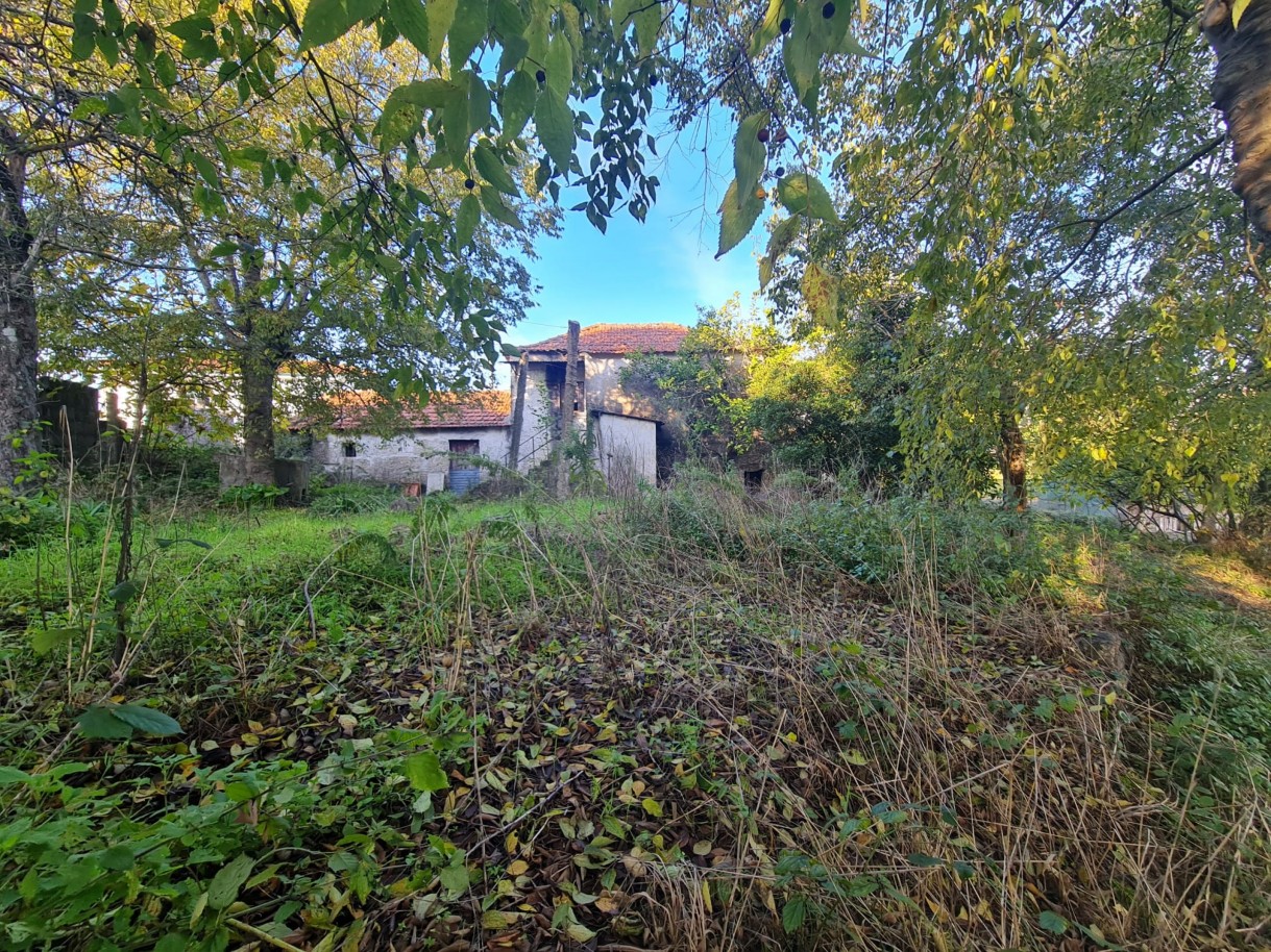 whatsapp-image-2025-11-27-at-161957-6jpeg