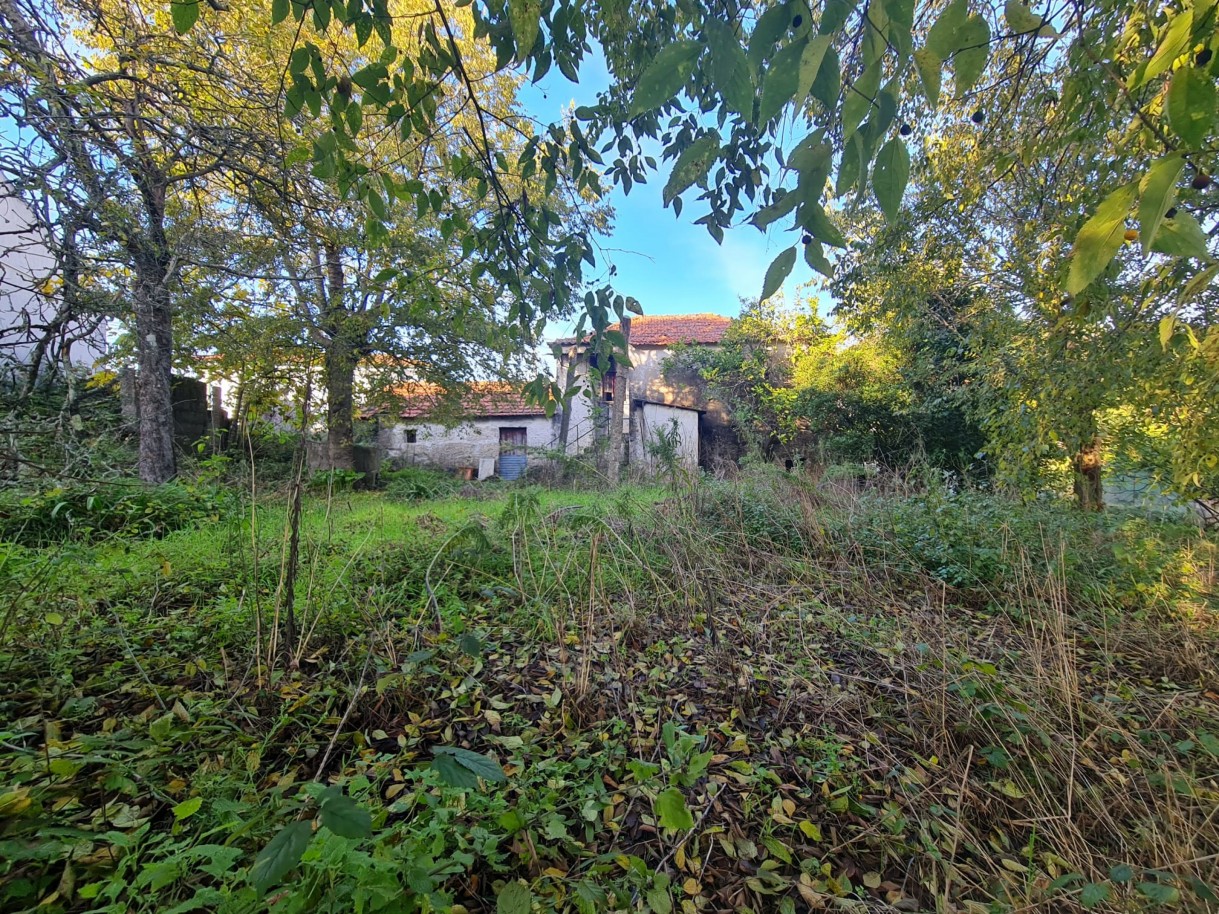 whatsapp-image-2025-11-27-at-161957-7jpeg