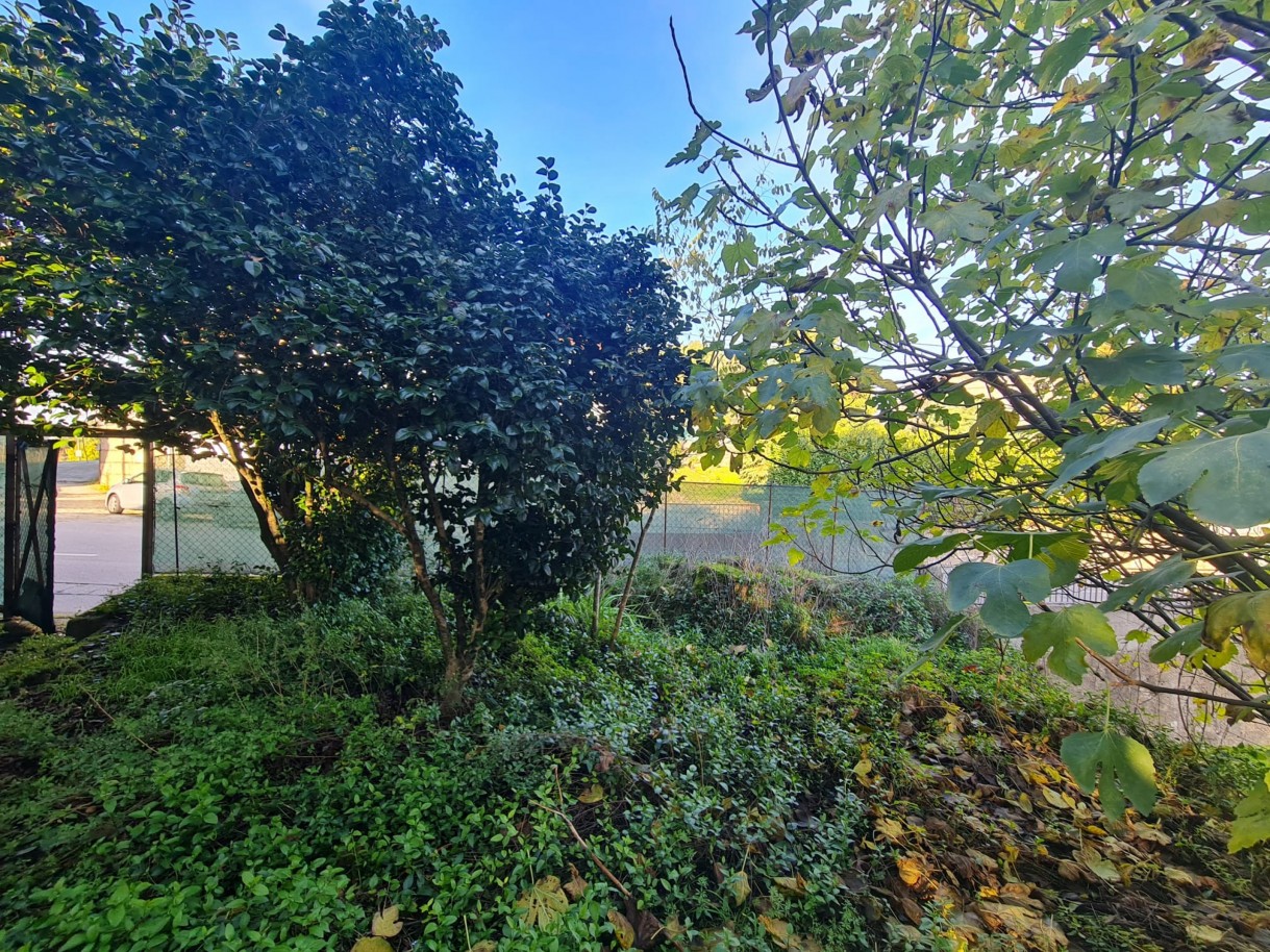 whatsapp-image-2025-11-27-at-161958-1jpeg