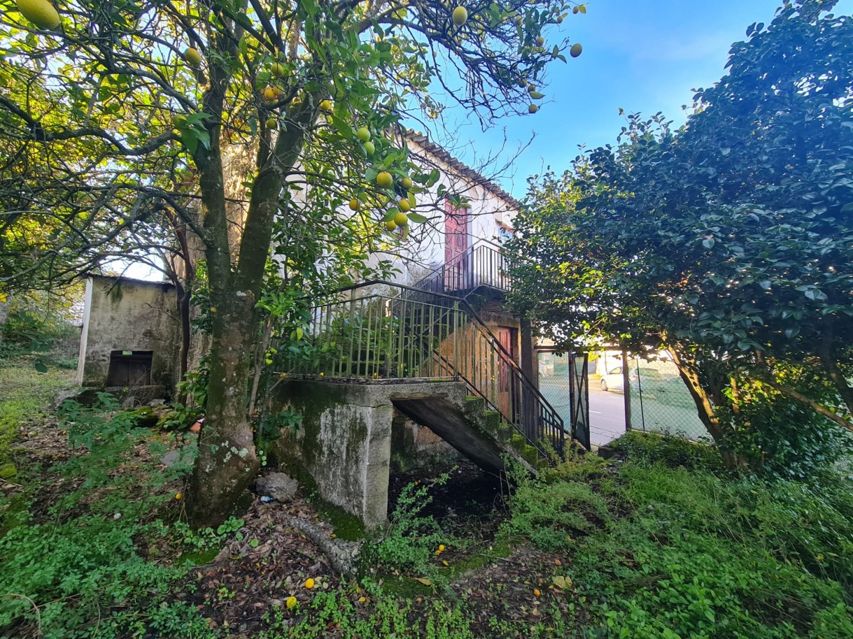 whatsapp-image-2025-11-27-at-161958-2jpeg