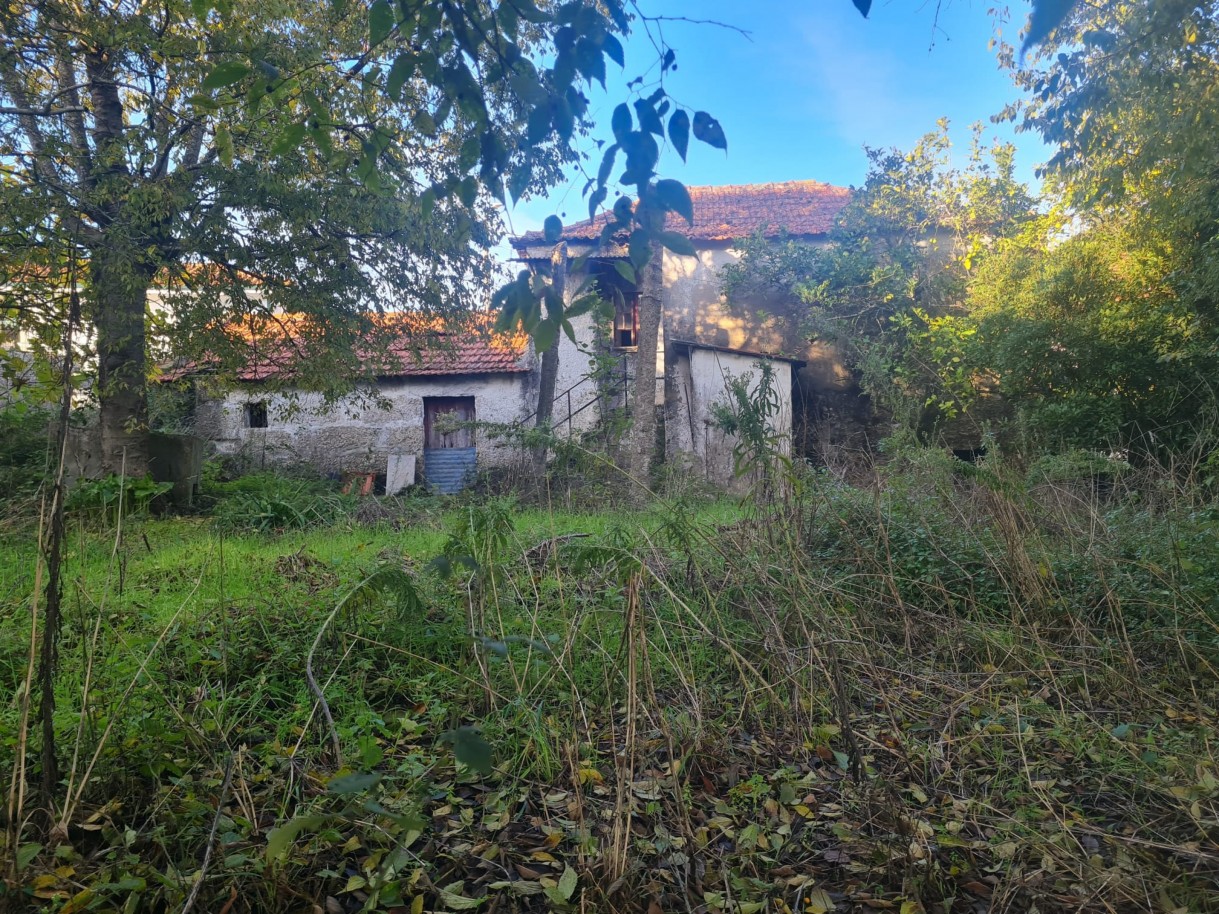 whatsapp-image-2025-11-27-at-161958jpeg