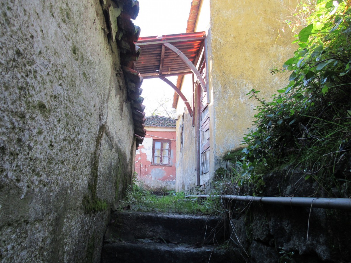 whatsapp-image-2025-12-11-at-111338-9jpeg