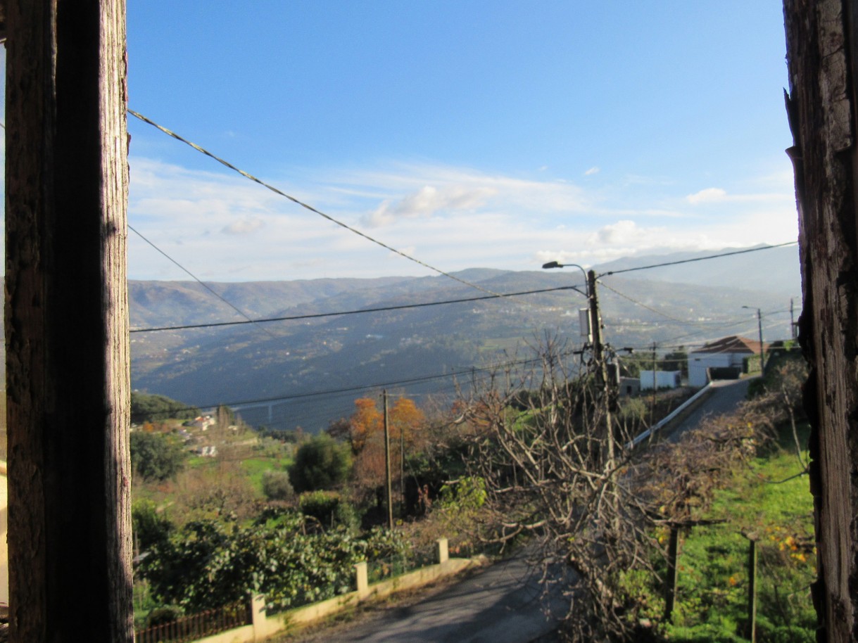 whatsapp-image-2025-12-11-at-111339-7jpeg