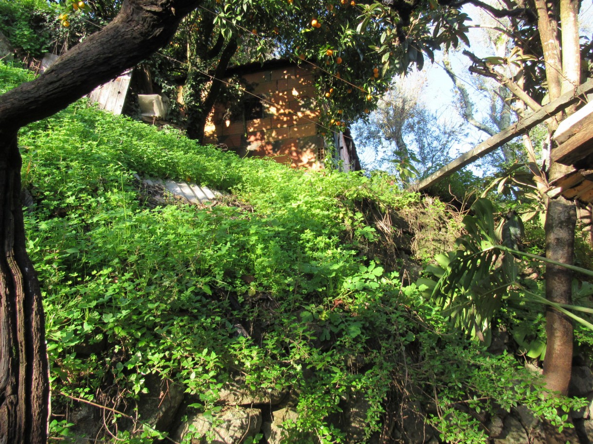 whatsapp-image-2025-12-11-at-111339jpeg