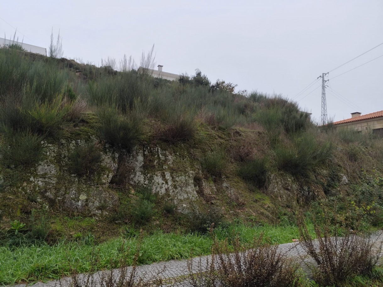 whatsapp-image-2025-12-12-at-112200-3jpeg