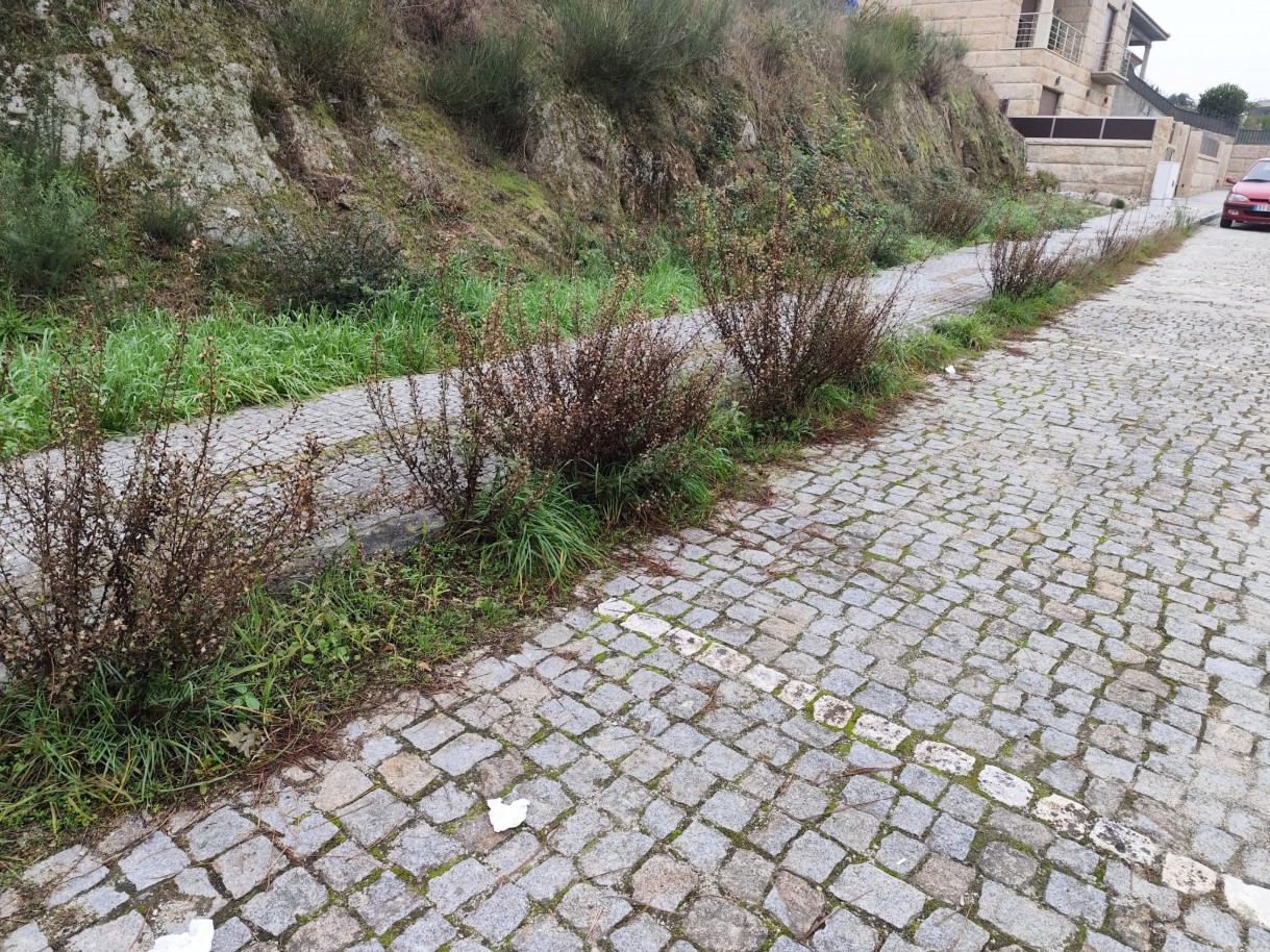 whatsapp-image-2025-12-12-at-112200jpeg