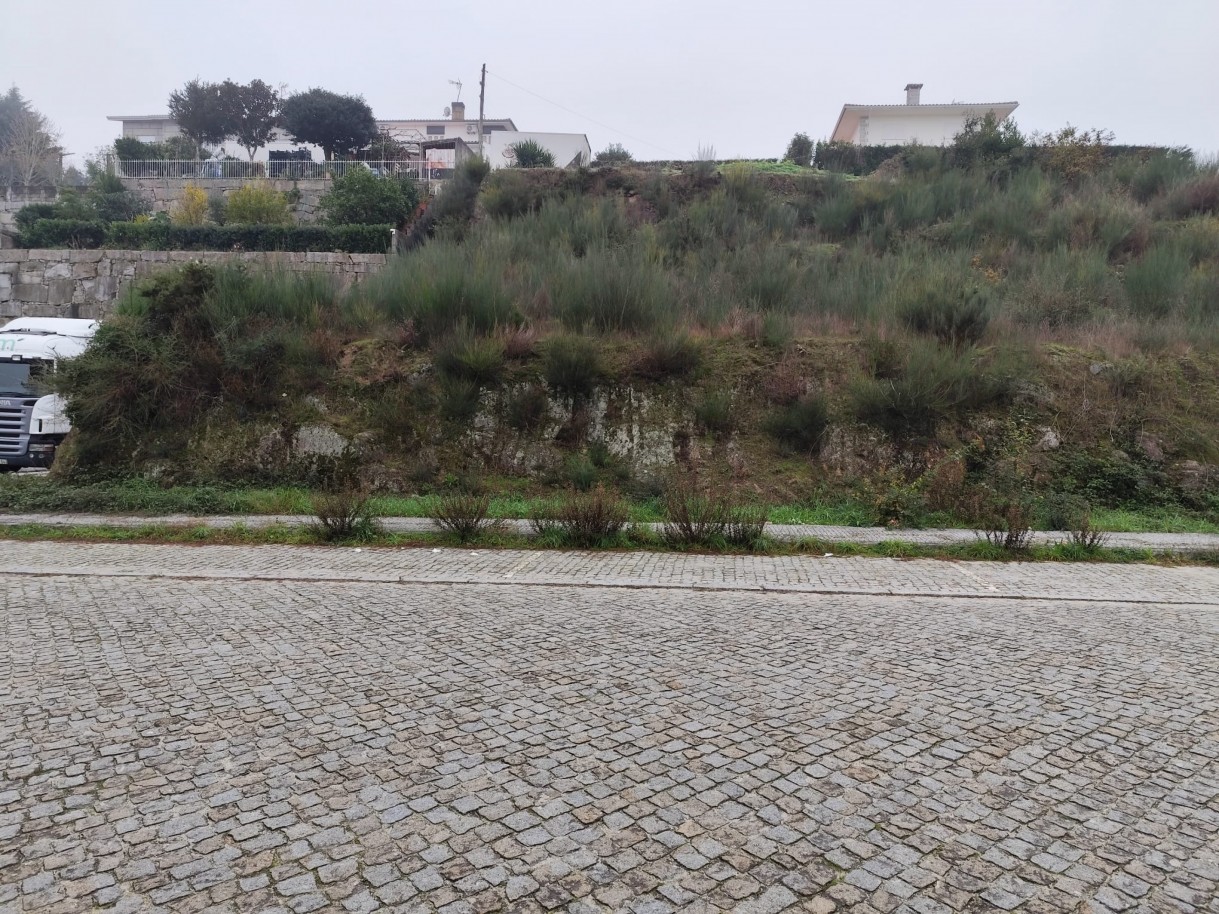 whatsapp-image-2025-12-12-at-112206jpeg