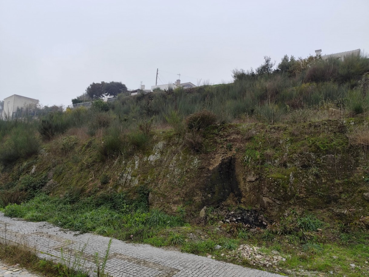 whatsapp-image-2025-12-12-at-112207-1jpeg