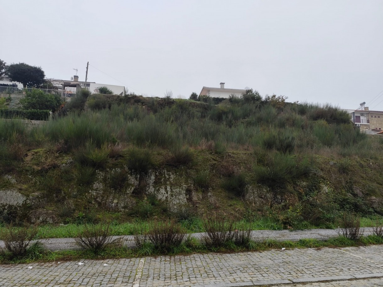 whatsapp-image-2025-12-12-at-112201-1jpeg