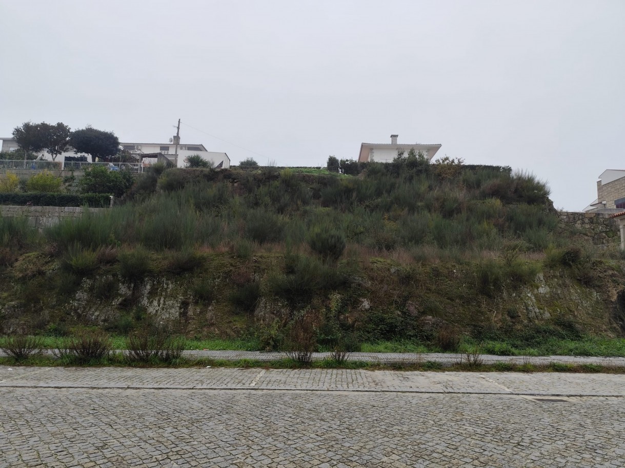 whatsapp-image-2025-12-12-at-112206-2jpeg