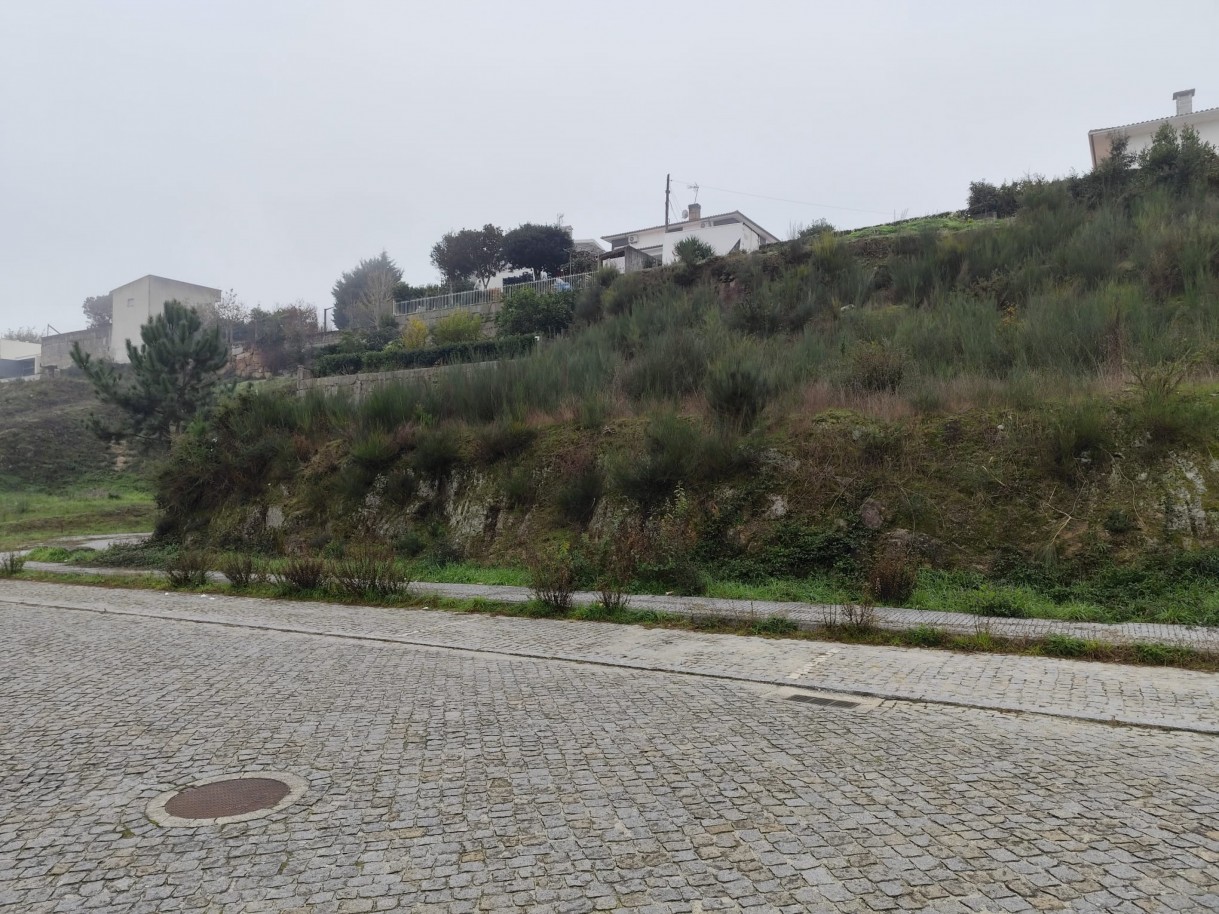 whatsapp-image-2025-12-12-at-112206-7jpeg