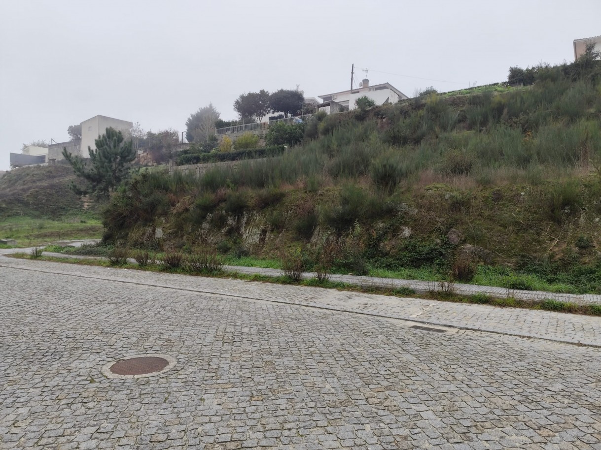 whatsapp-image-2025-12-12-at-112206-9jpeg