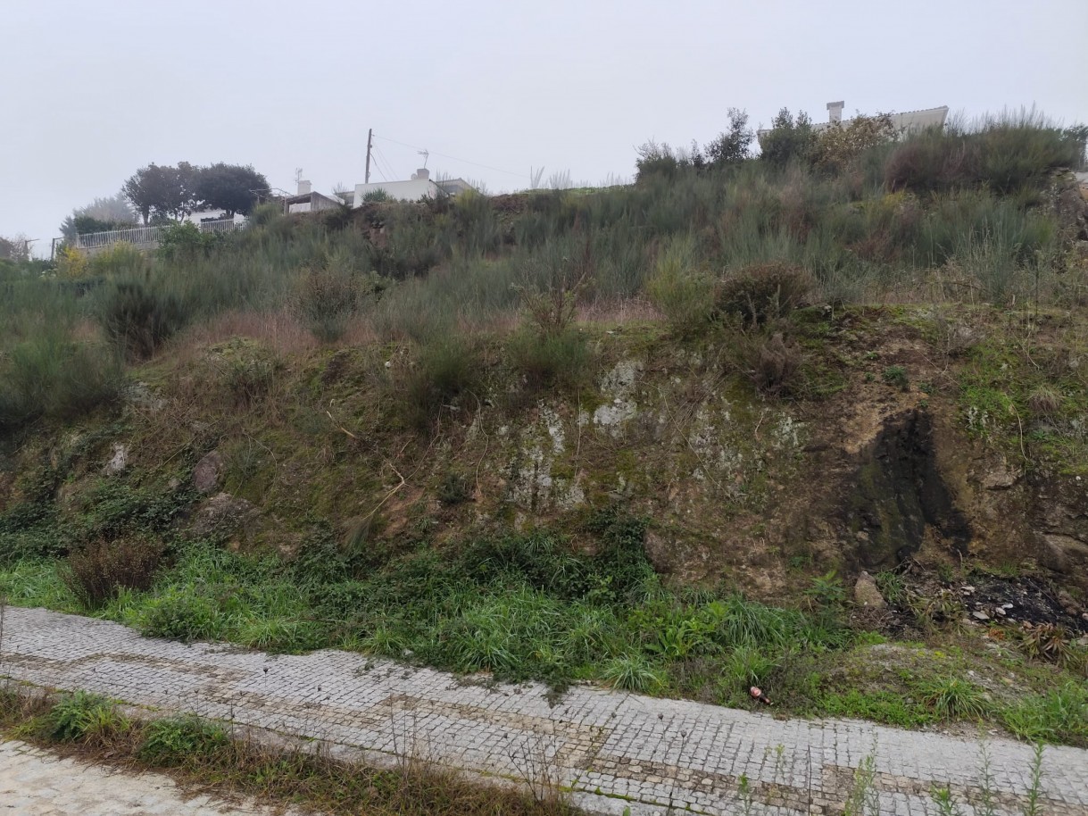 whatsapp-image-2025-12-12-at-112206-12jpeg