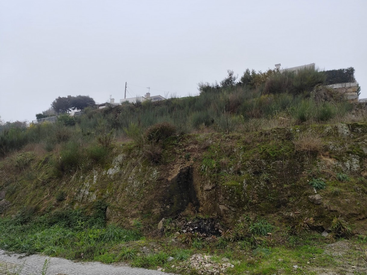 whatsapp-image-2025-12-12-at-112207jpeg