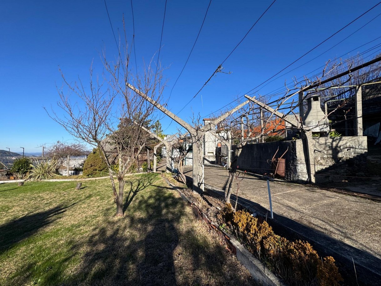 whatsapp-image-2026-01-06-at-093328jpeg