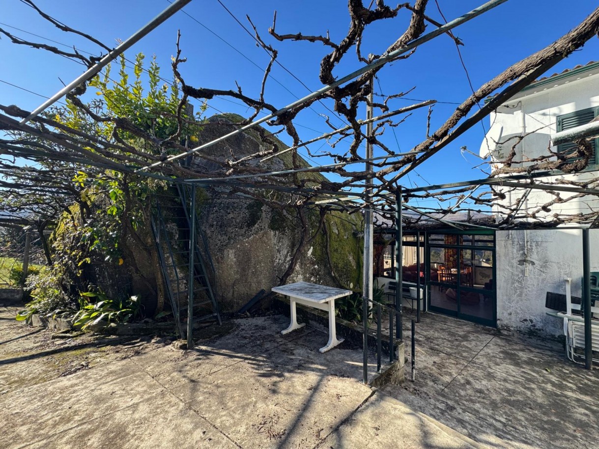 whatsapp-image-2026-01-06-at-093329-6jpeg