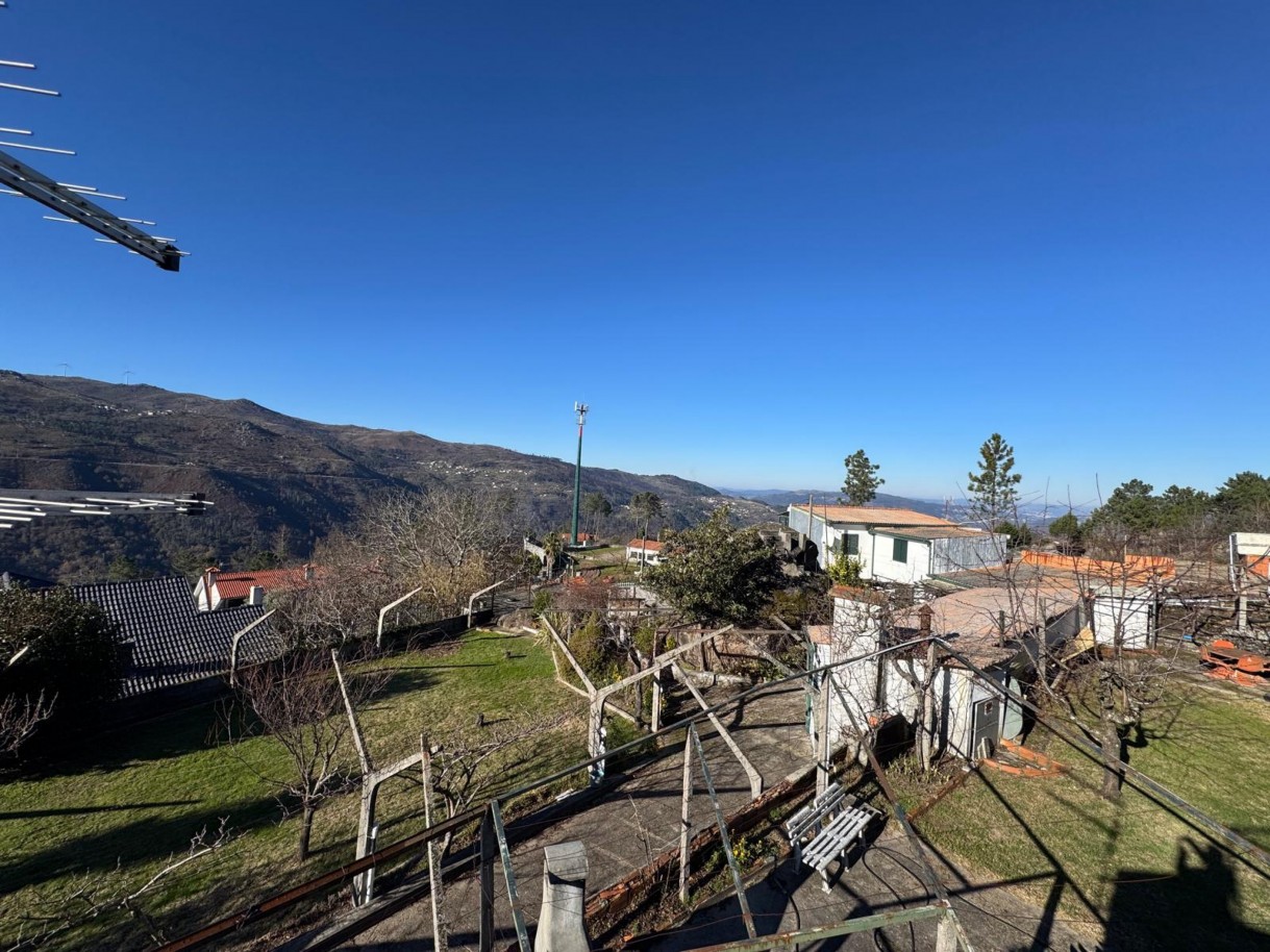 whatsapp-image-2026-01-06-at-093329jpeg