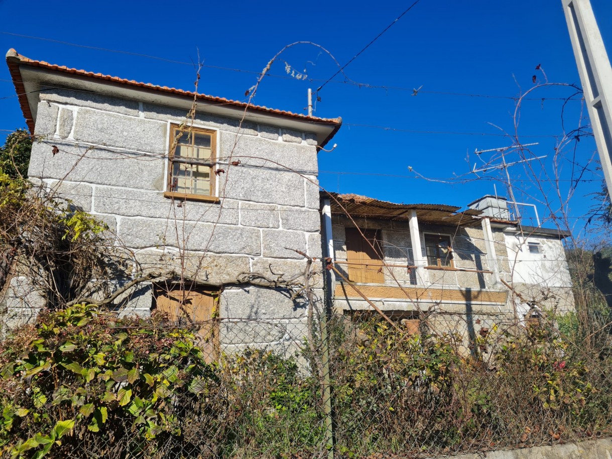 whatsapp-image-2026-01-06-at-150807jpeg