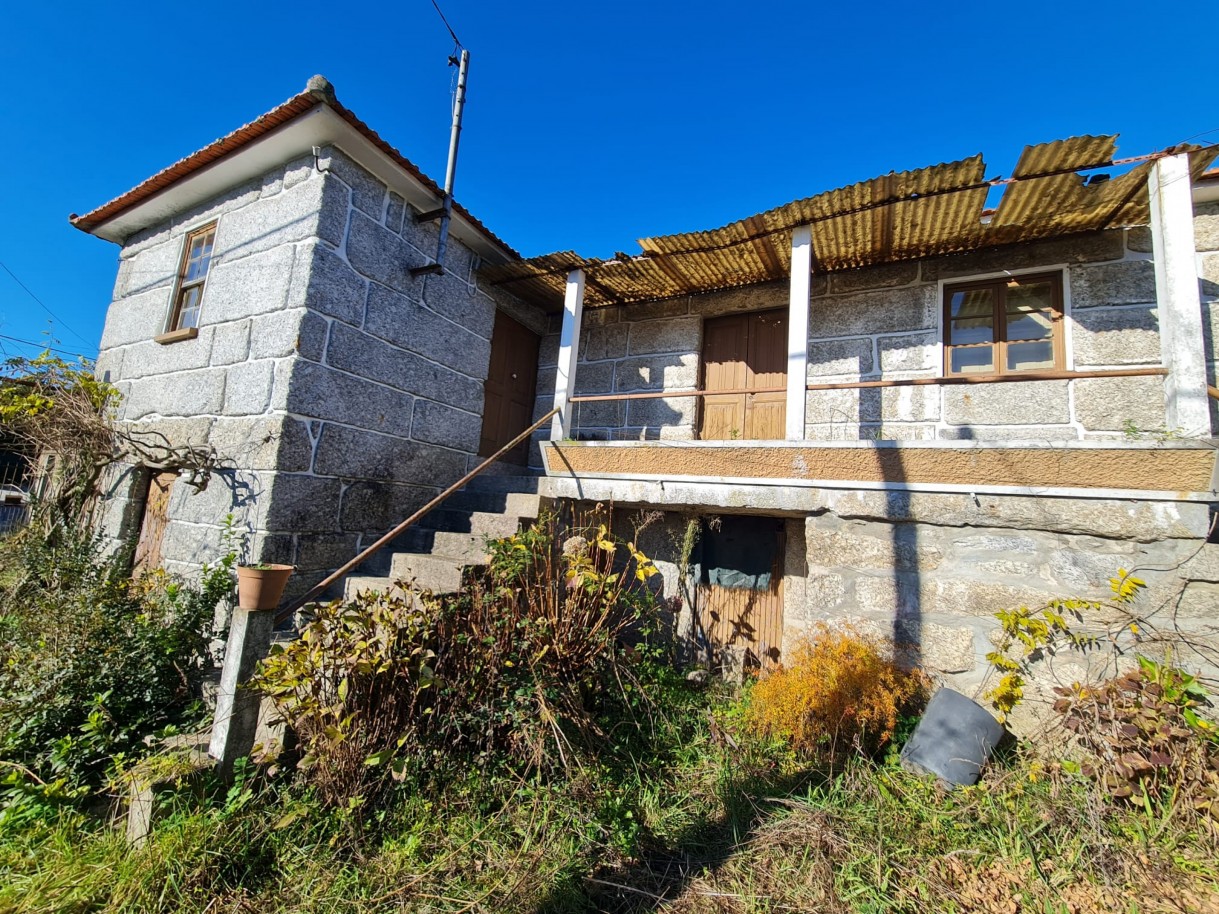 whatsapp-image-2026-01-06-at-150808-5jpeg