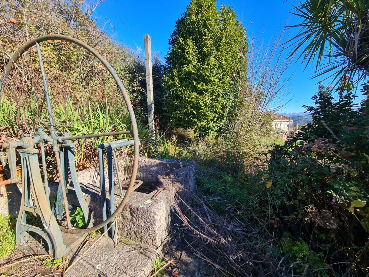 whatsapp-image-2026-01-06-at-150809jpeg