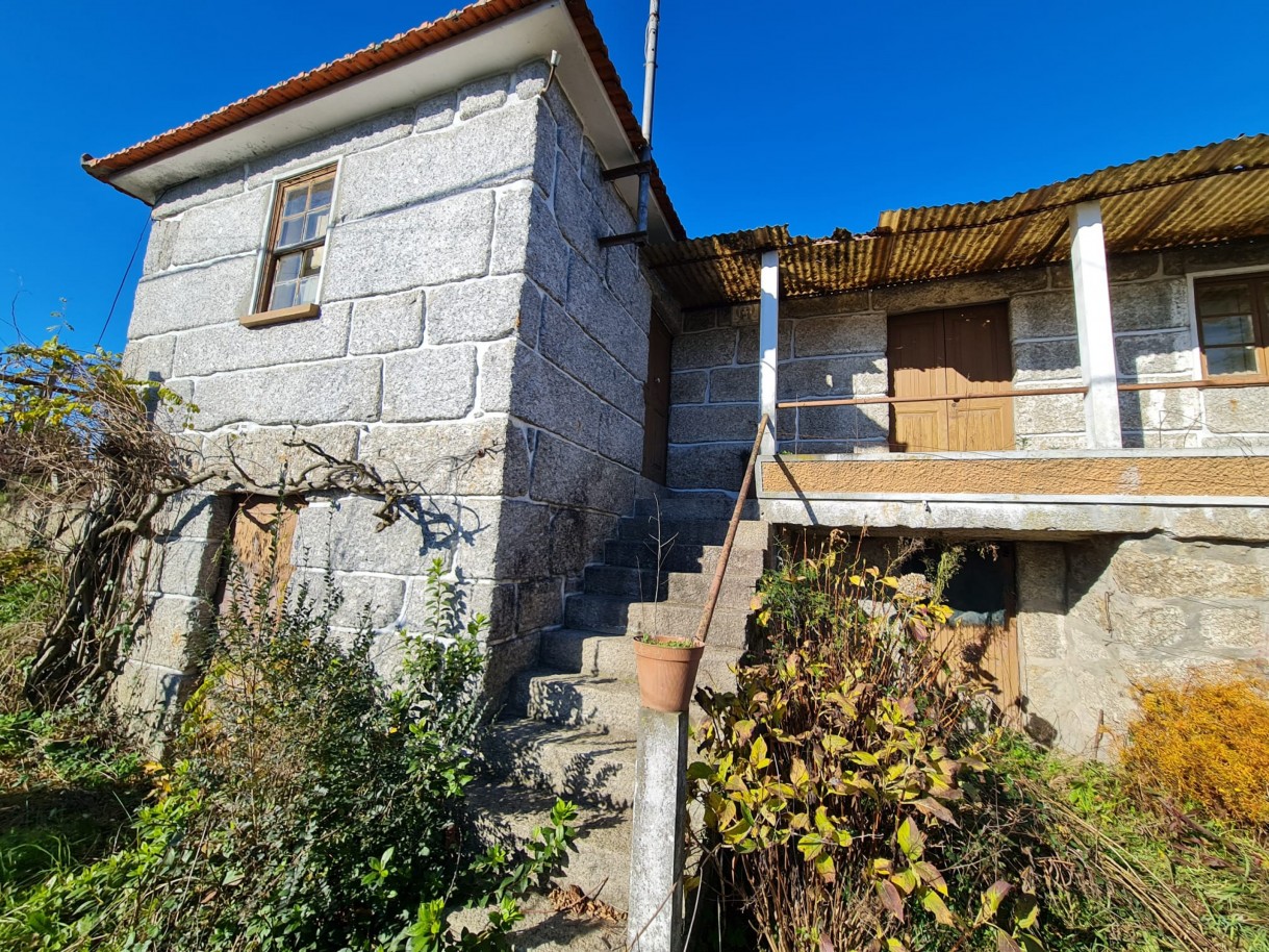 whatsapp-image-2026-01-06-at-150810-2jpeg