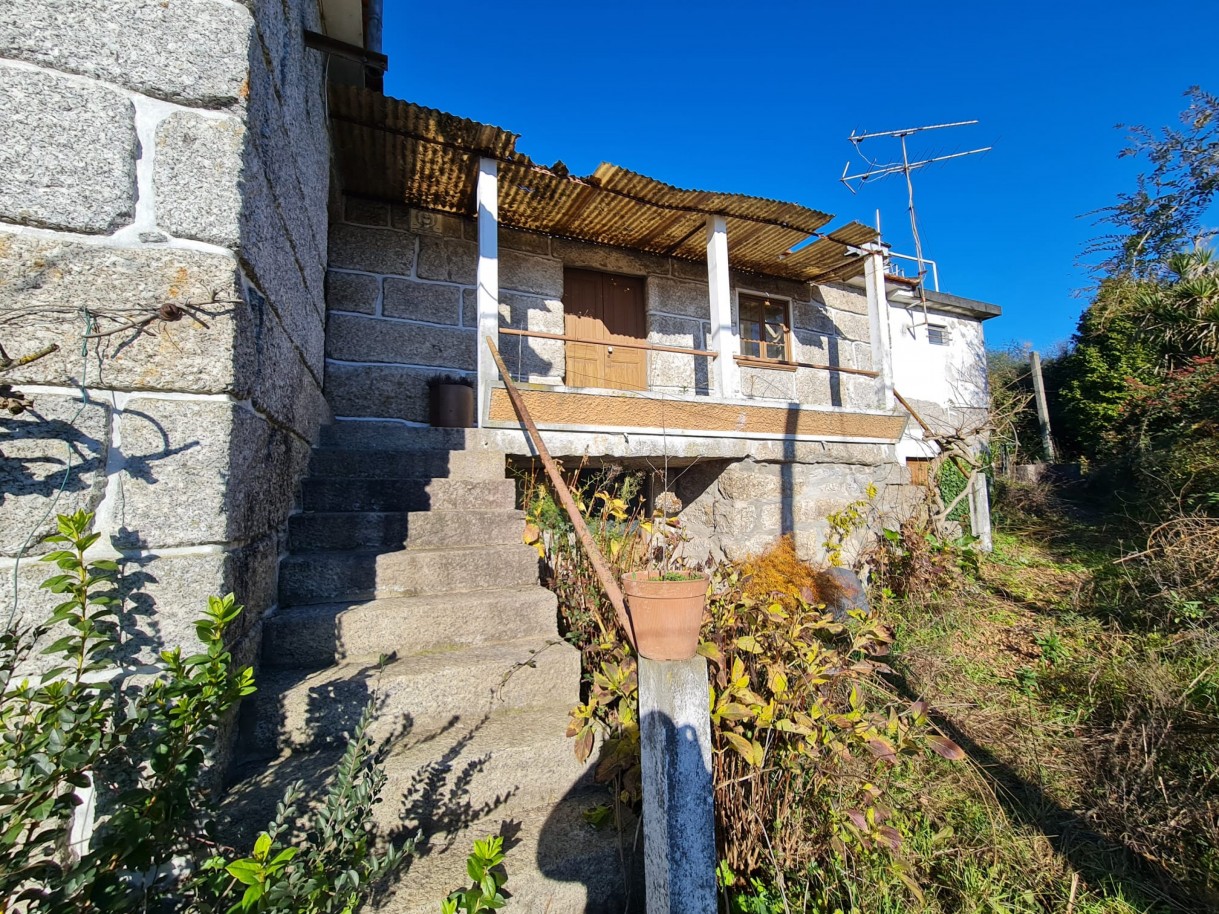 whatsapp-image-2026-01-06-at-150810jpeg