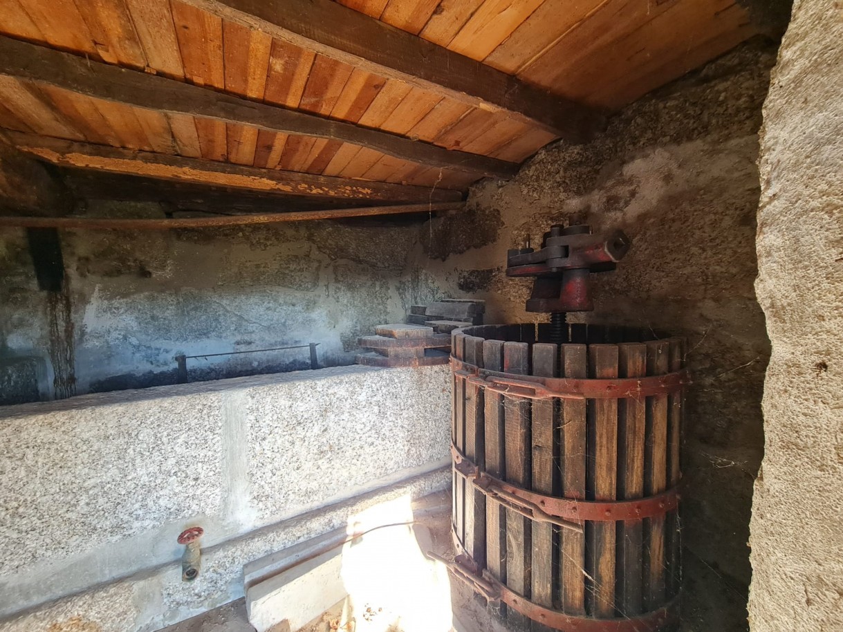 whatsapp-image-2026-01-06-at-150937-1jpeg