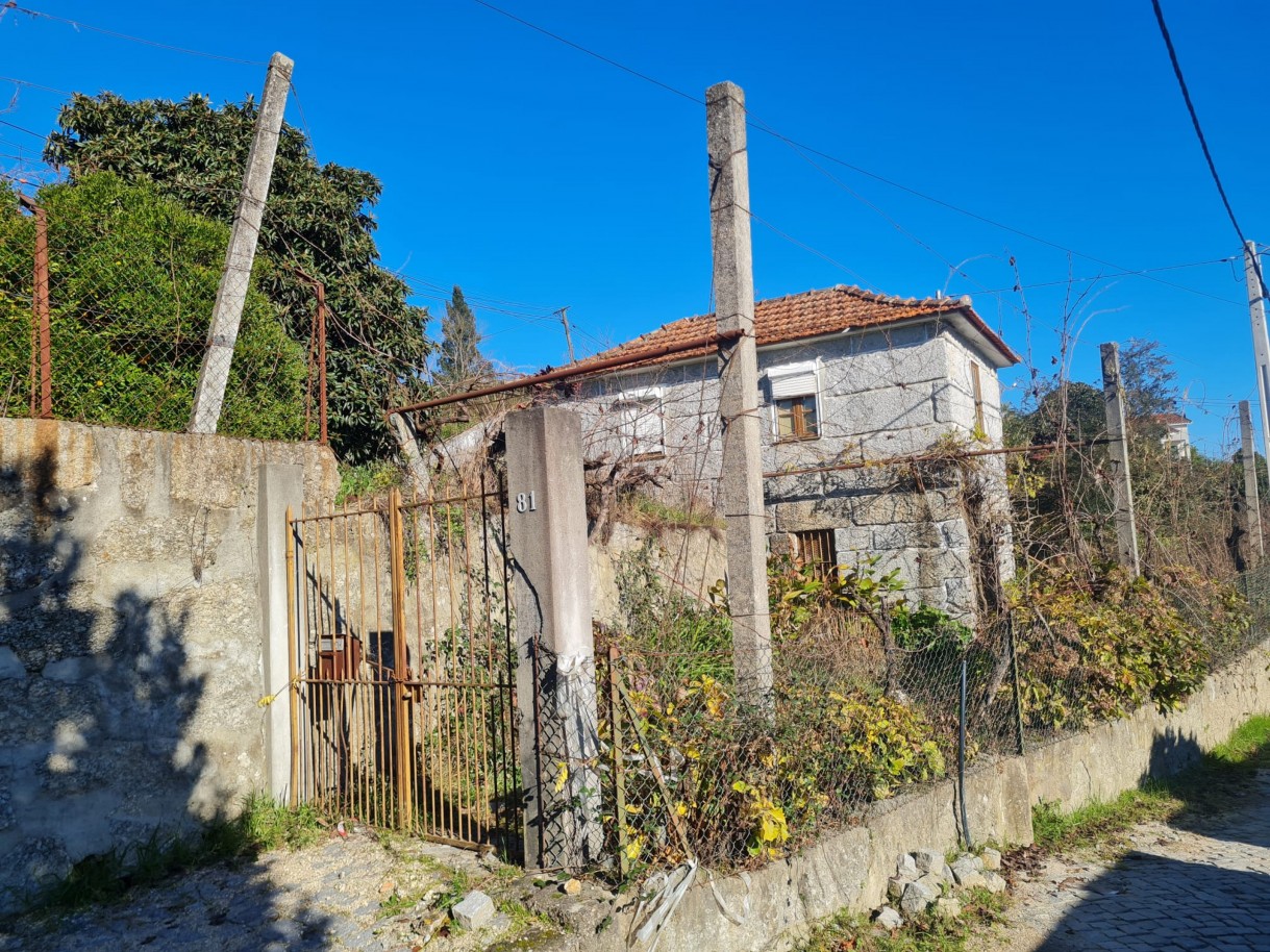 whatsapp-image-2026-01-06-at-150810-4jpeg