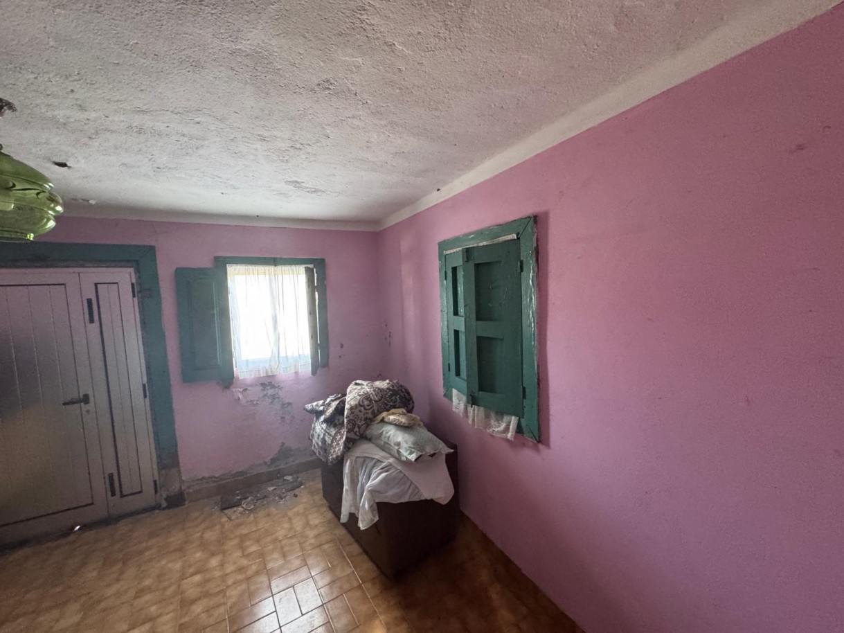 whatsapp-image-2026-01-14-at-105037-2jpeg