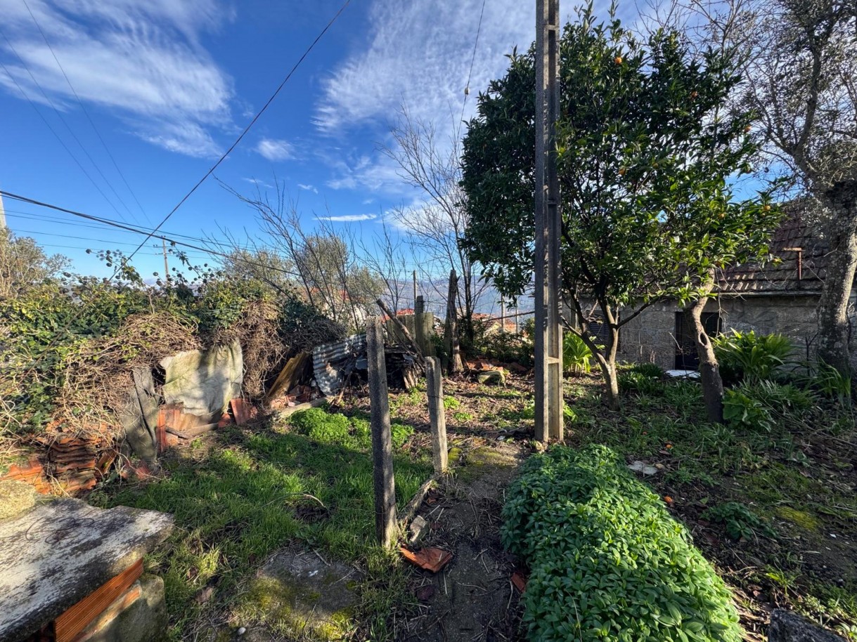 whatsapp-image-2026-01-14-at-105037-6jpeg