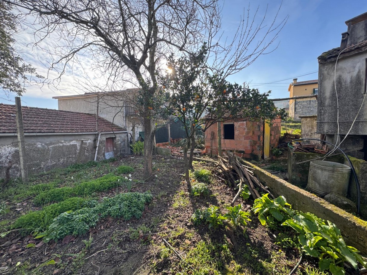 whatsapp-image-2026-01-14-at-105038jpeg