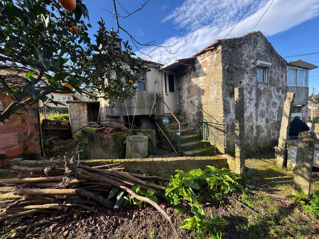 whatsapp-image-2026-01-14-at-105038-3jpeg