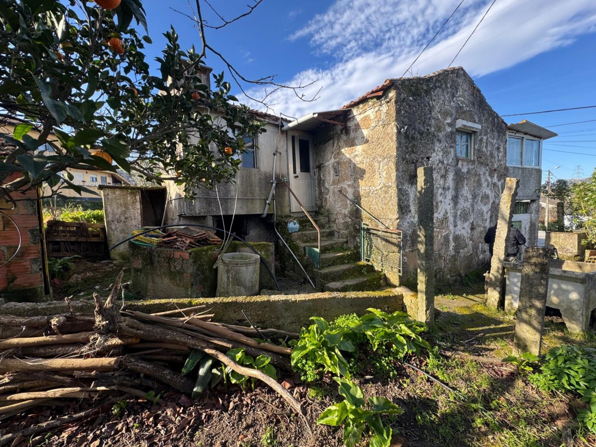 whatsapp-image-2026-01-14-at-105038-2jpeg