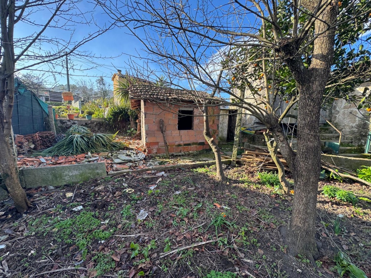 whatsapp-image-2026-01-14-at-105038-5jpeg