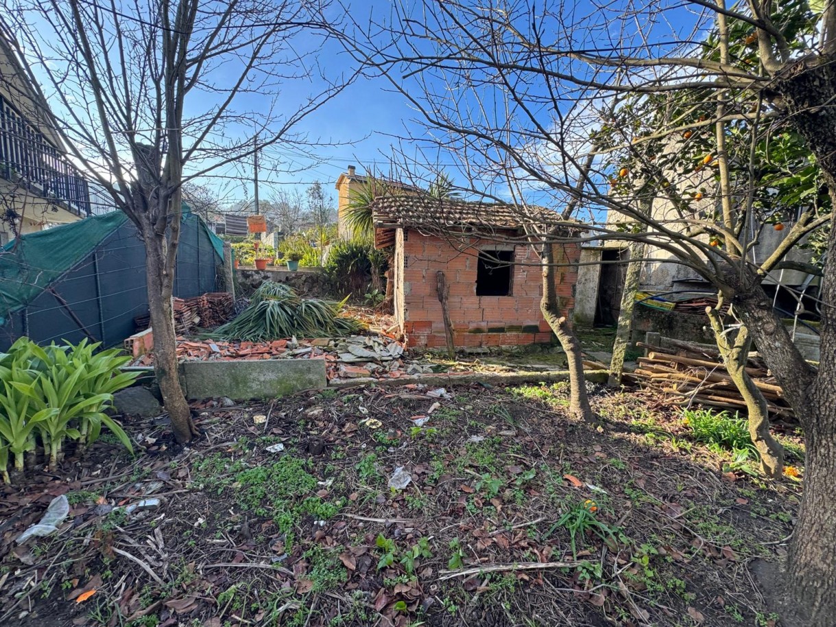 whatsapp-image-2026-01-14-at-105038-6jpeg